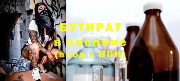 индика Алексин