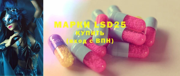 индика Алексин