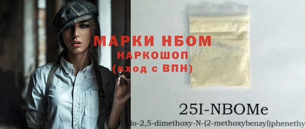 индика Алексин