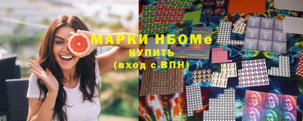индика Алексин