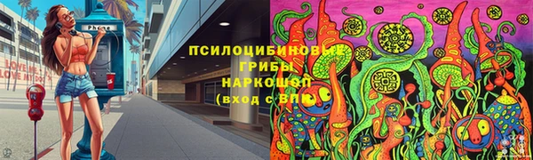 индика Алексин