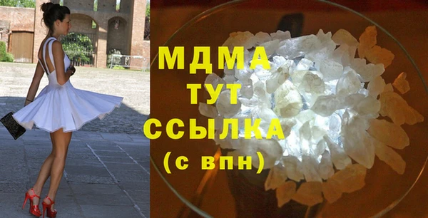 индика Алексин